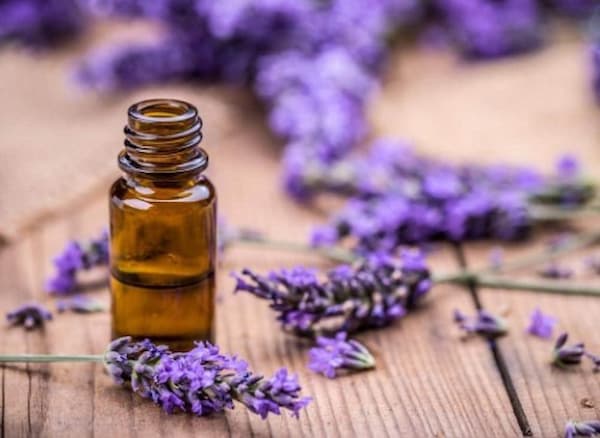 تصویر 5 از فروش عرق اسطوخودوس پامچال + قیمت خرید به صرفه